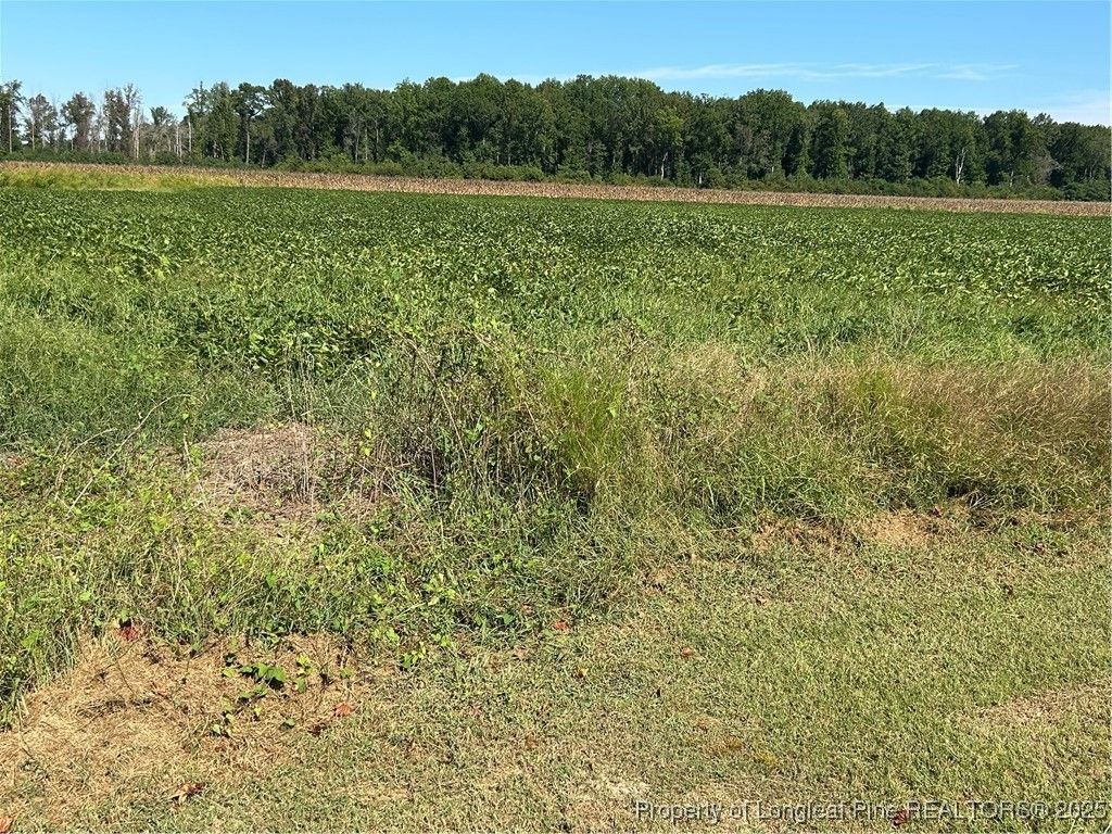McQuage Road, Raeford, NC 28376 — photo 5