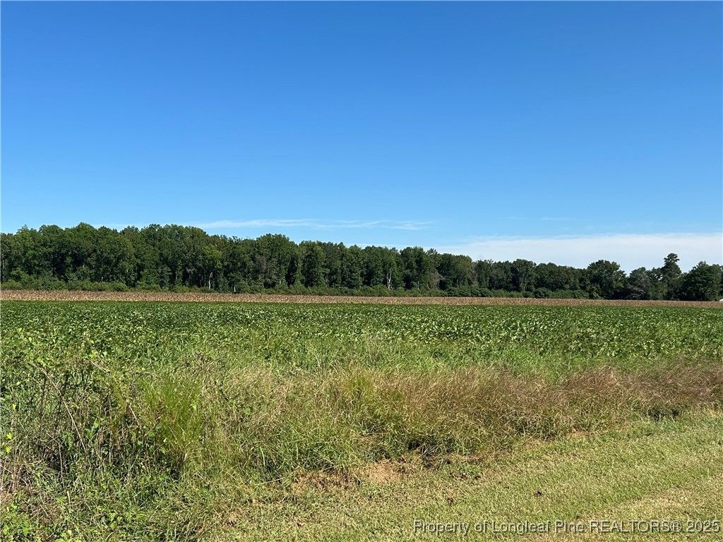McQuage Road, Raeford, NC 28376 — photo 7