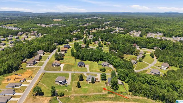 210 MADISON LANE, Odenville, AL 35120