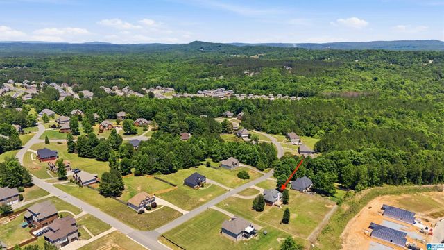210 MADISON LANE, Odenville, AL 35120