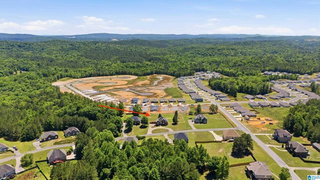210 MADISON LANE, Odenville, AL 35120