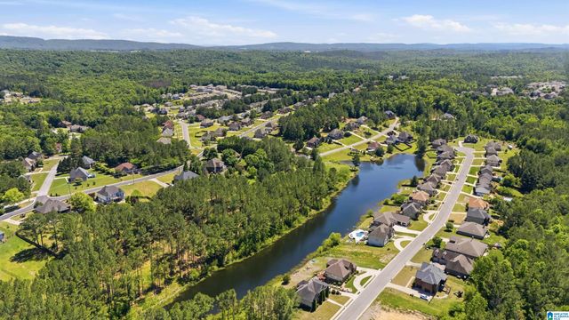 210 MADISON LANE, Odenville, AL 35120