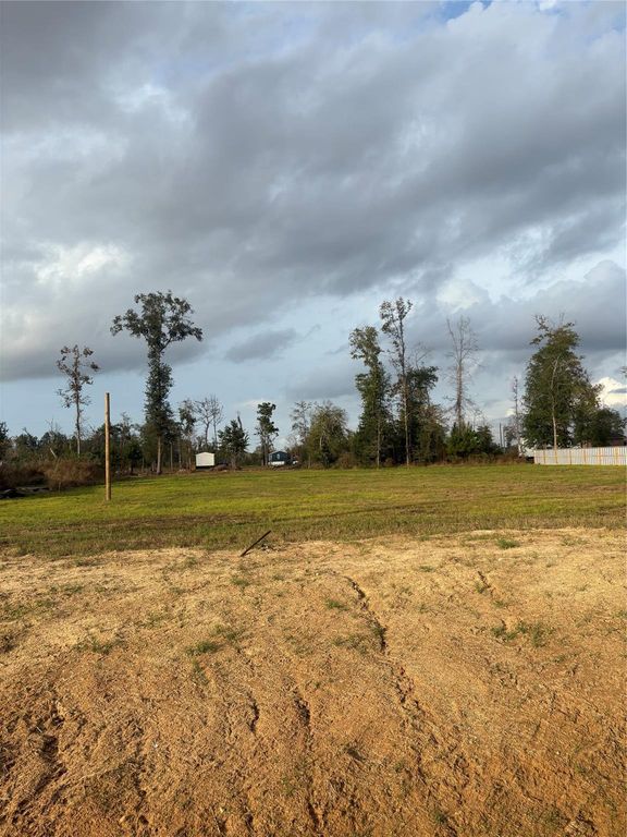 1043 Gazing Pine Street, Huffman, TX 77336