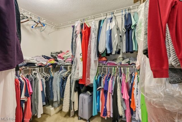 5035 Red Maple Court, Medina, OH 44256