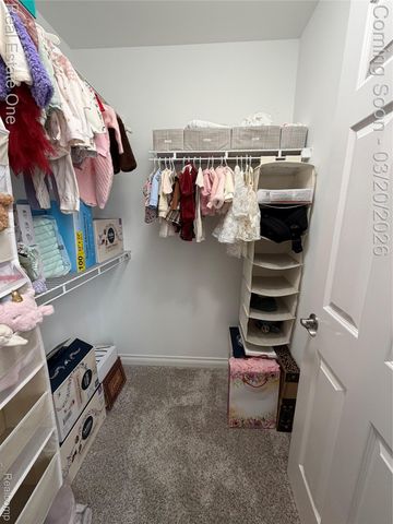 58206 Sunflower Circle N, Lyon Charter Township, MI 48165