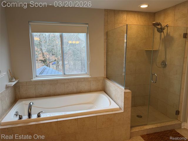 58206 Sunflower Circle N, Lyon Charter Township, MI 48165