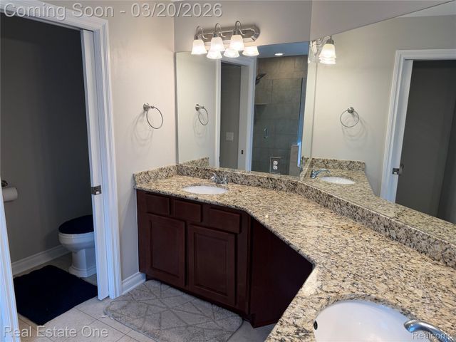 58206 Sunflower Circle N, Lyon Charter Township, MI 48165