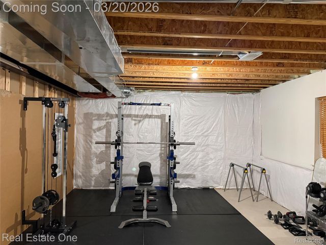 58206 Sunflower Circle N, Lyon Charter Township, MI 48165