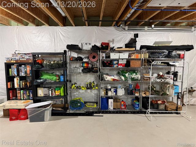 58206 Sunflower Circle N, Lyon Charter Township, MI 48165