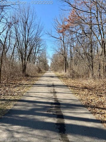 58206 Sunflower Circle N, Lyon Charter Township, MI 48165