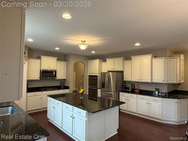 58206 Sunflower Circle N, Lyon Charter Township, MI 48165