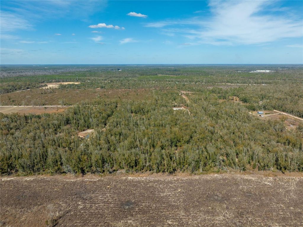 Image 11 of property listing at ,, Live Oak, FL 32060