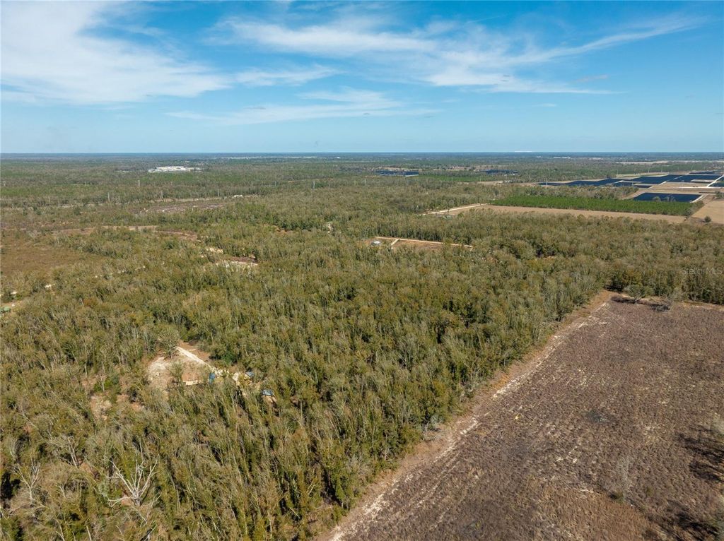 Image 12 of property listing at ,, Live Oak, FL 32060