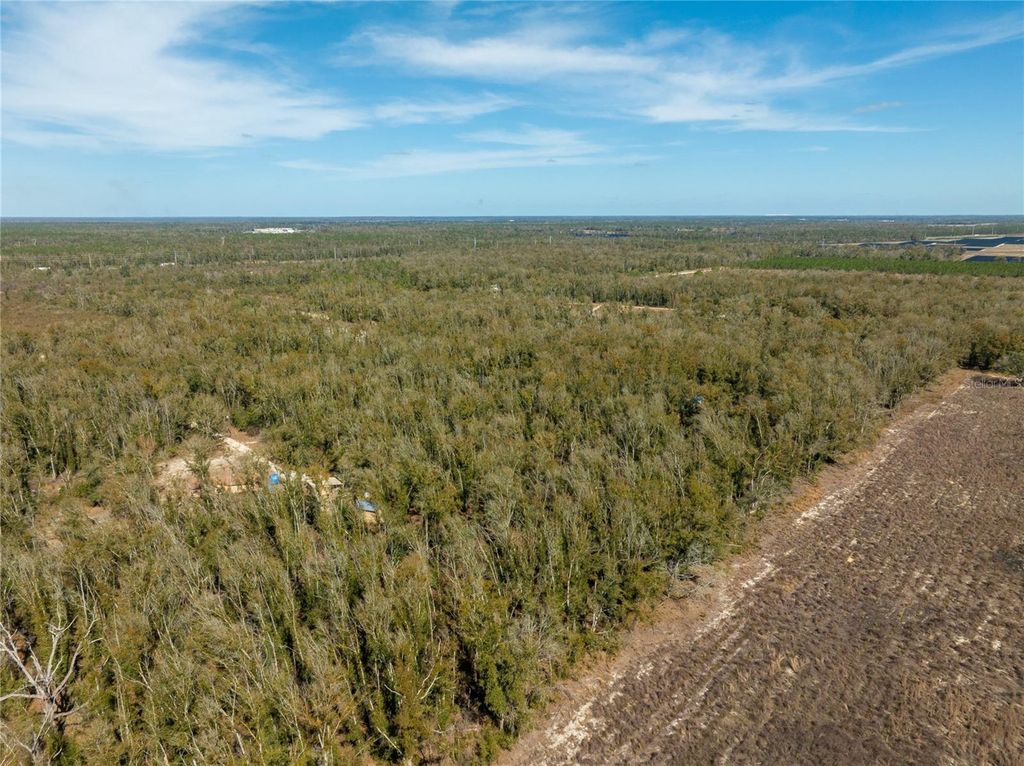 Image 13 of property listing at ,, Live Oak, FL 32060