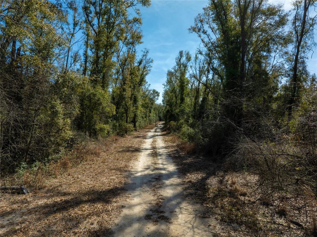 Image 24 of property listing at ,, Live Oak, FL 32060