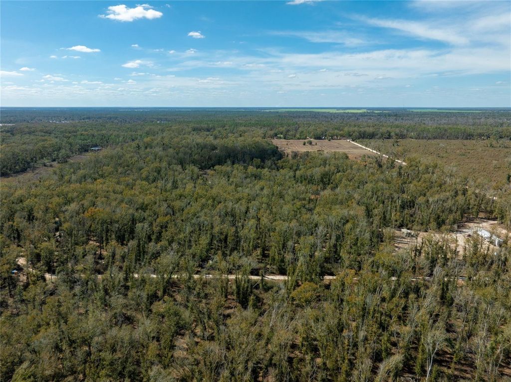 Image 8 of property listing at ,, Live Oak, FL 32060