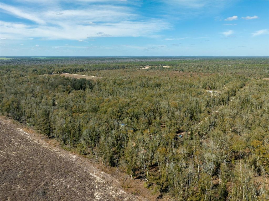 Image 9 of property listing at ,, Live Oak, FL 32060