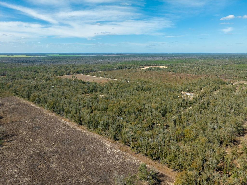 Image 10 of property listing at ,, Live Oak, FL 32060