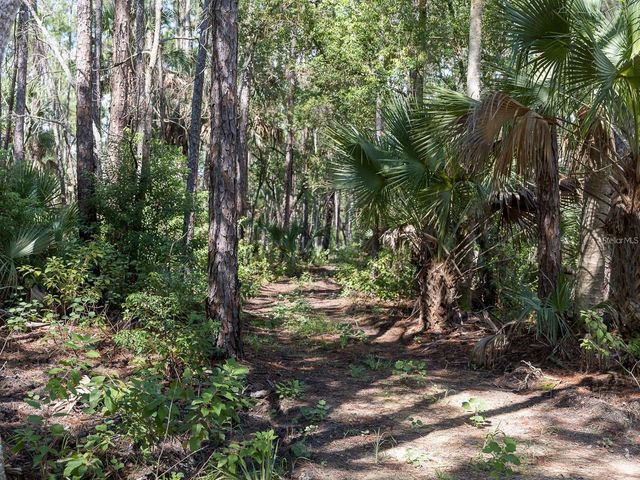 37610 OAKLEE ROAD, Umatilla, FL 32784