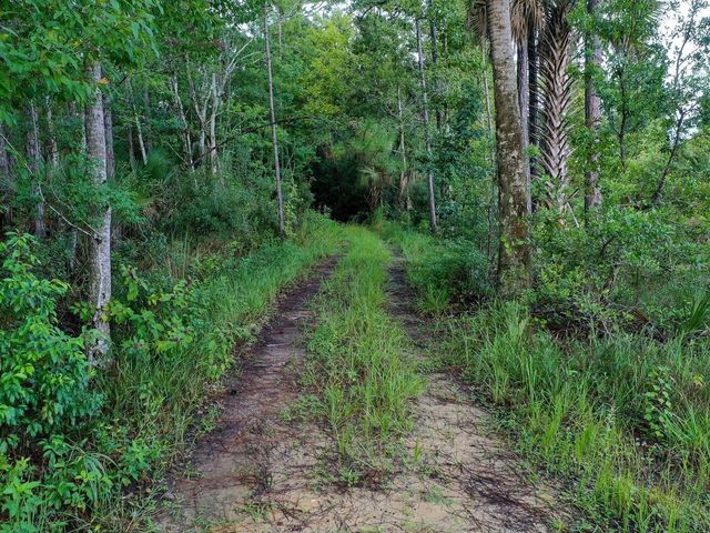 37610 OAKLEE ROAD, Umatilla, FL 32784