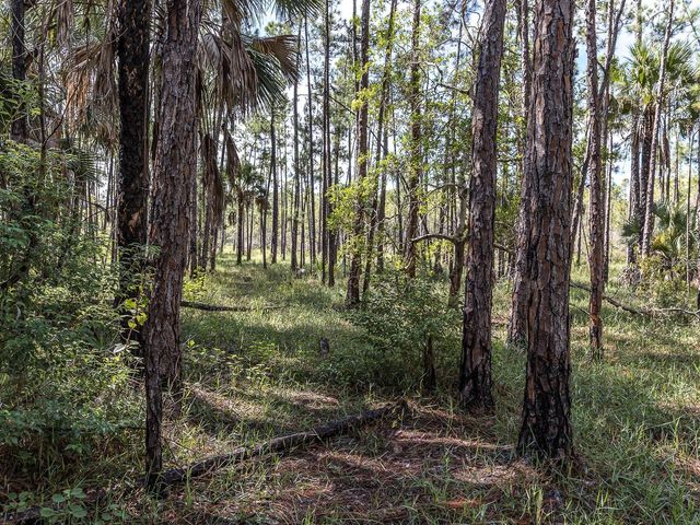 37610 OAKLEE ROAD, Umatilla, FL 32784