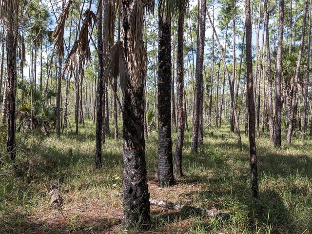 37610 OAKLEE ROAD, Umatilla, FL 32784