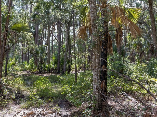 37610 OAKLEE ROAD, Umatilla, FL 32784