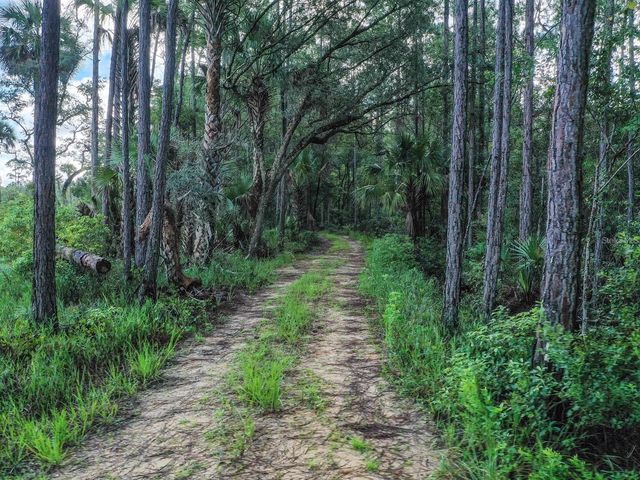 37610 OAKLEE ROAD, Umatilla, FL 32784