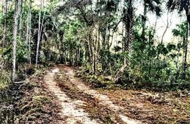 37610 OAKLEE ROAD, Umatilla, FL 32784
