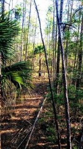 37610 OAKLEE ROAD, Umatilla, FL 32784