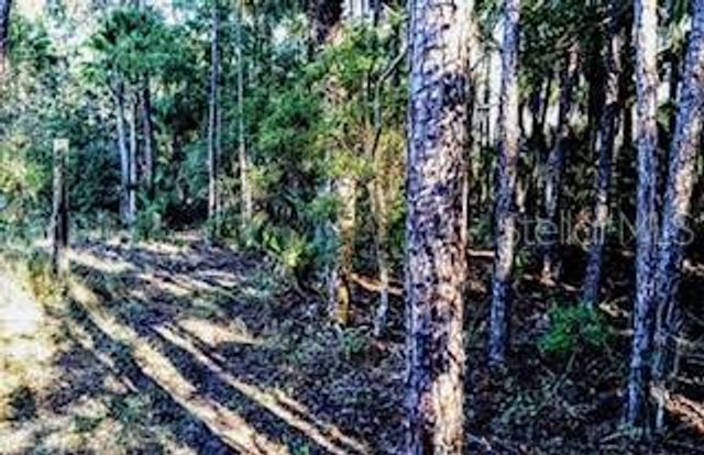37610 OAKLEE ROAD, Umatilla, FL 32784
