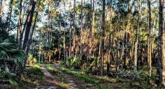 37610 OAKLEE ROAD, Umatilla, FL 32784