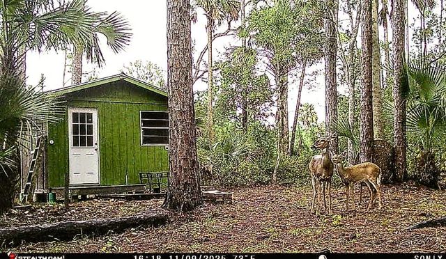 37610 OAKLEE ROAD, Umatilla, FL 32784