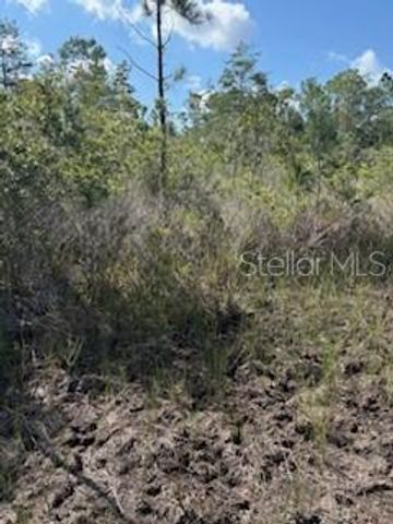 37610 OAKLEE ROAD, Umatilla, FL 32784
