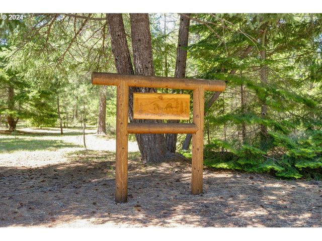 44 Lonesome PInes Dr, Trout Lake, WA 98650