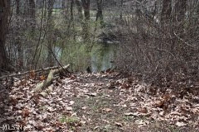 2254 Milton Boulevard, Newton Falls, OH 44444