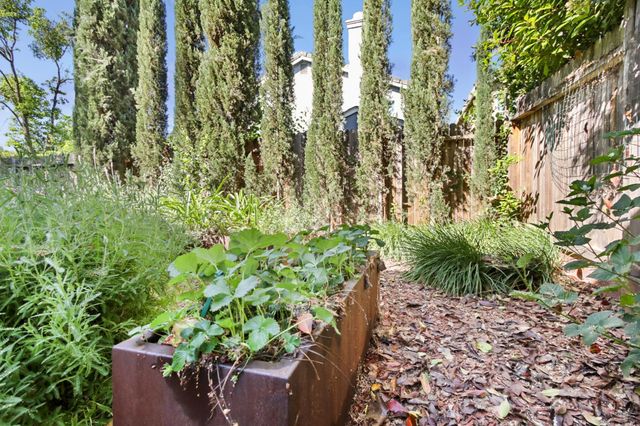 1303 Caceres Ct, Davis, CA 95618