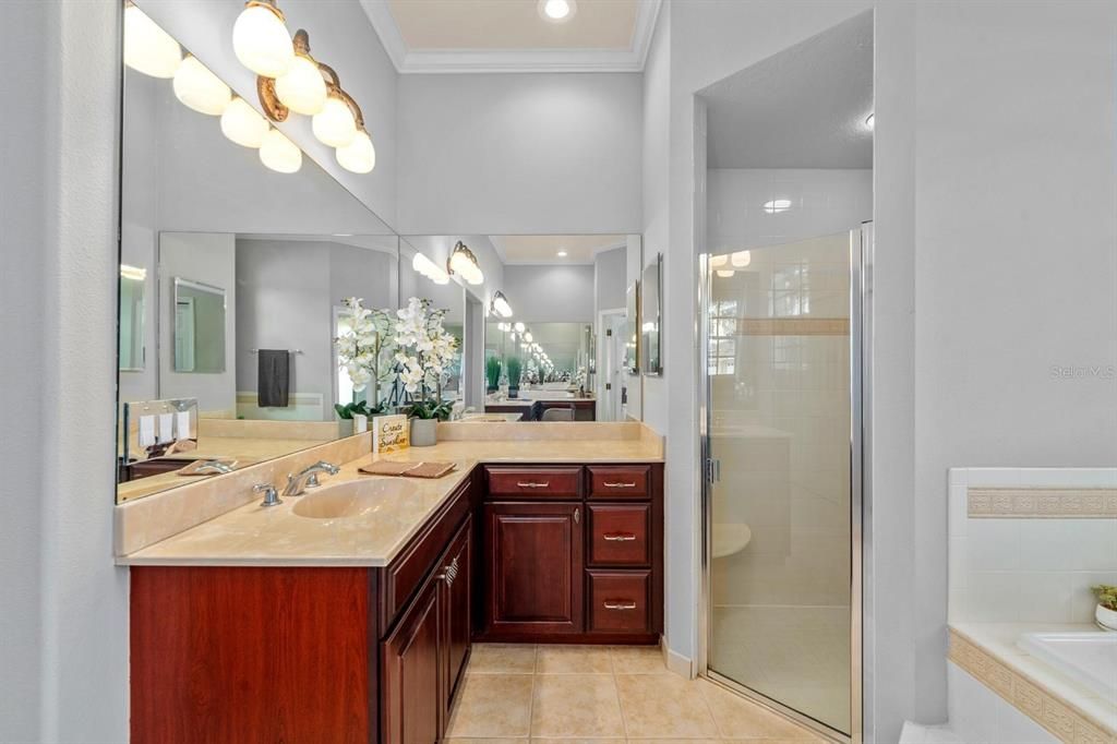 Image 11 of property listing at 3807 DIAMANTE COURT, Ruskin, FL 33573