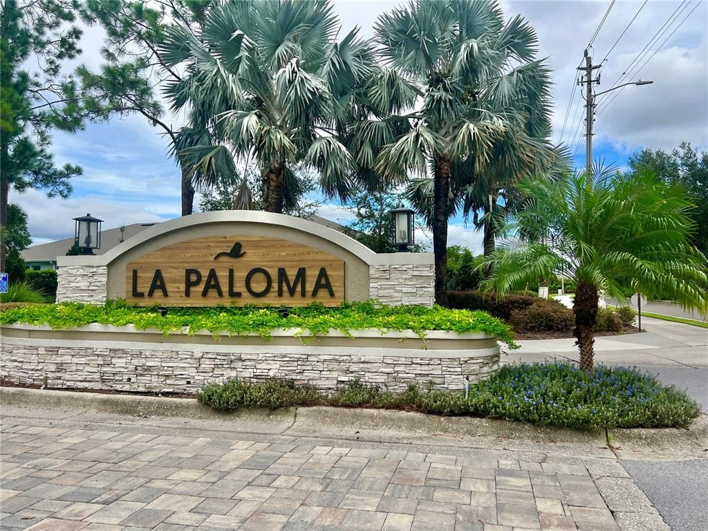 Image 49 of property listing at 3807 DIAMANTE COURT, Ruskin, FL 33573