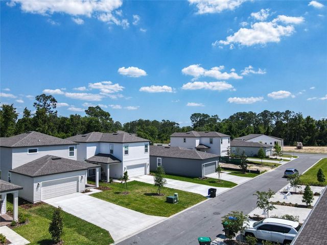 11165 GREEN CITRON ALLEY, Winter Garden, FL 34787