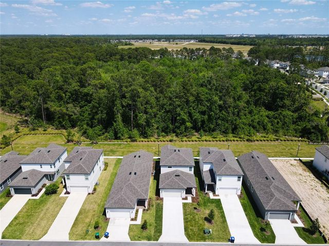 11165 GREEN CITRON ALLEY, Winter Garden, FL 34787