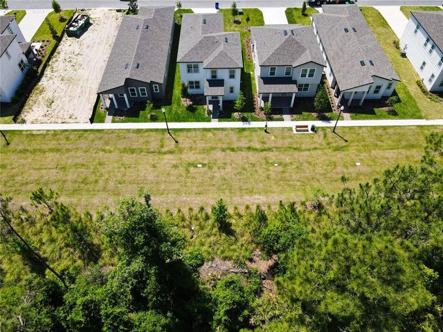 11165 GREEN CITRON ALLEY, Winter Garden, FL 34787