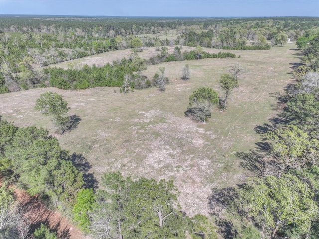 299 N Ghost Branch Road, Trinity, TX 75862