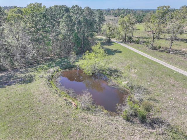 299 N Ghost Branch Road, Trinity, TX 75862