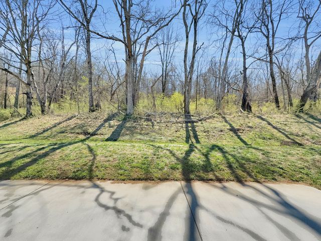 95 Scenic Ln, Hartsville, TN 37074