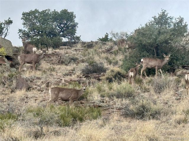 1135 County Road 13, Del Norte, CO 81132