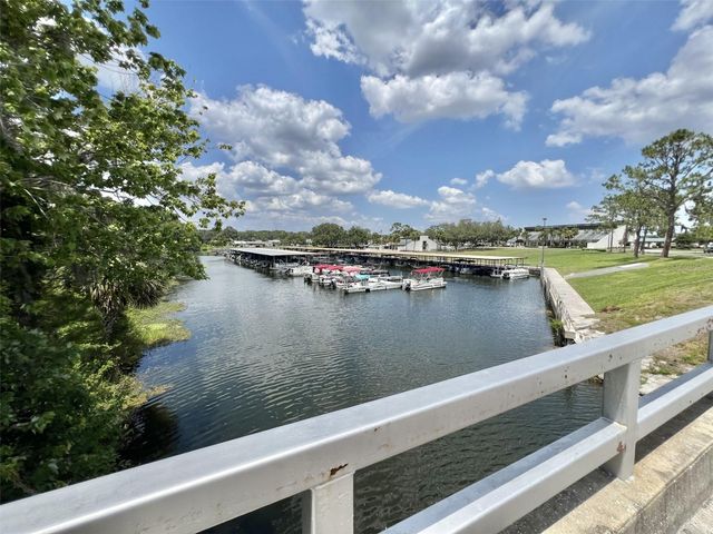 103 FOUNTAIN COVE, Leesburg, FL 34748