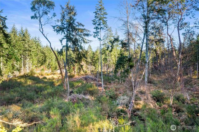 0 E Harstine Island Road S, Shelton, WA 98584