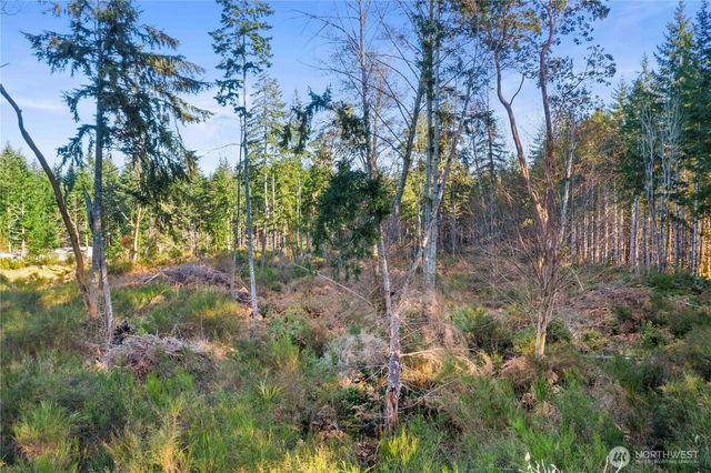 0 E Harstine Island Road S, Shelton, WA 98584