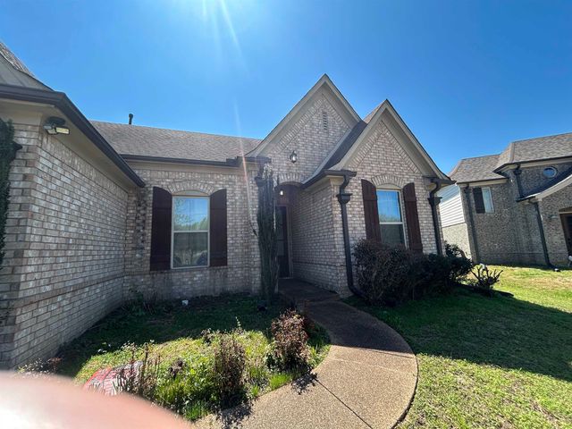 9067 OAKVALE CV, Cordova, TN 38016